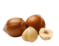 hazelnut